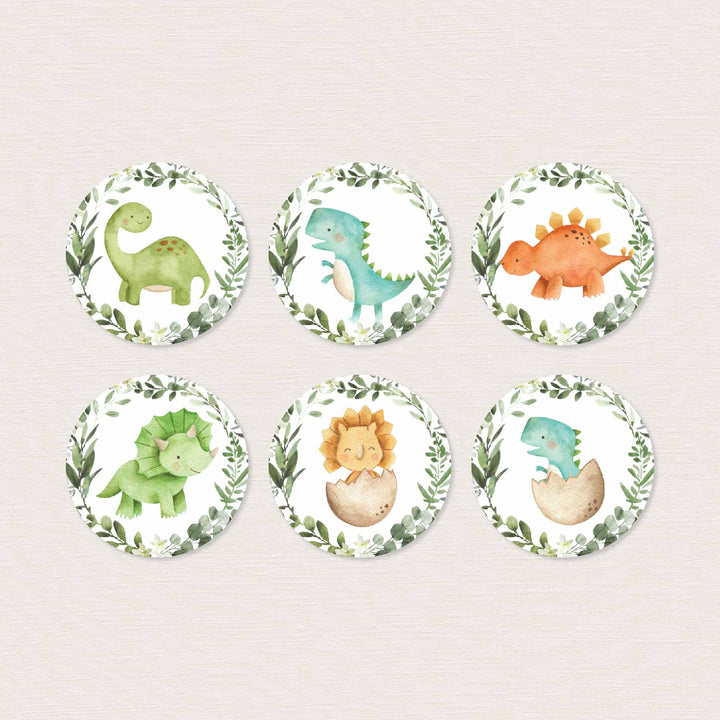 Dinosaurs Kids Birthday Cupcake Toppers and Cupcake Wrappers Printable
